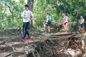 BIB: 
                            <button type="button" onclick="openModal(27719436)" class="btn btn-primary btn-sm float-right btn-popup" data-toggle="modal" data-target=".modal-high-quality">
                        <i class="fas fa-shopping-cart"></i> Add to Cart
                    </button>
                                            <button type="button" onclick="isThisMe(27719436, true)" class="btn btn-success btn-sm float-right btn-popup btn-isme hidden" data-toggle="tooltip" data-placement="bottom" title="นี่คือรูปของคุณใช่ไหม คลิกที่นี่เพื่อเอาเข้าอัลบั้ม">
                        <i class="fas fa-plus"></i> Add to album
                    </button>
                    <button type="button" onclick="isThisMe(27719436, false)" class="btn btn-warning btn-sm float-right btn-popup btn-isnotme hidden">
                        <i class="fas fa-ban"></i> Remove from album
                    </button>